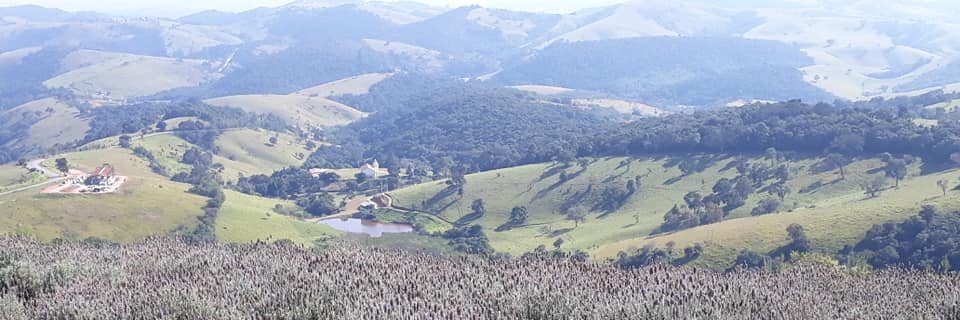 nanidavi's profile banner image