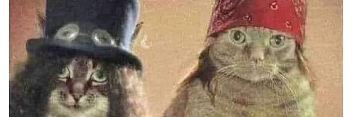 cindyloraco's profile banner image