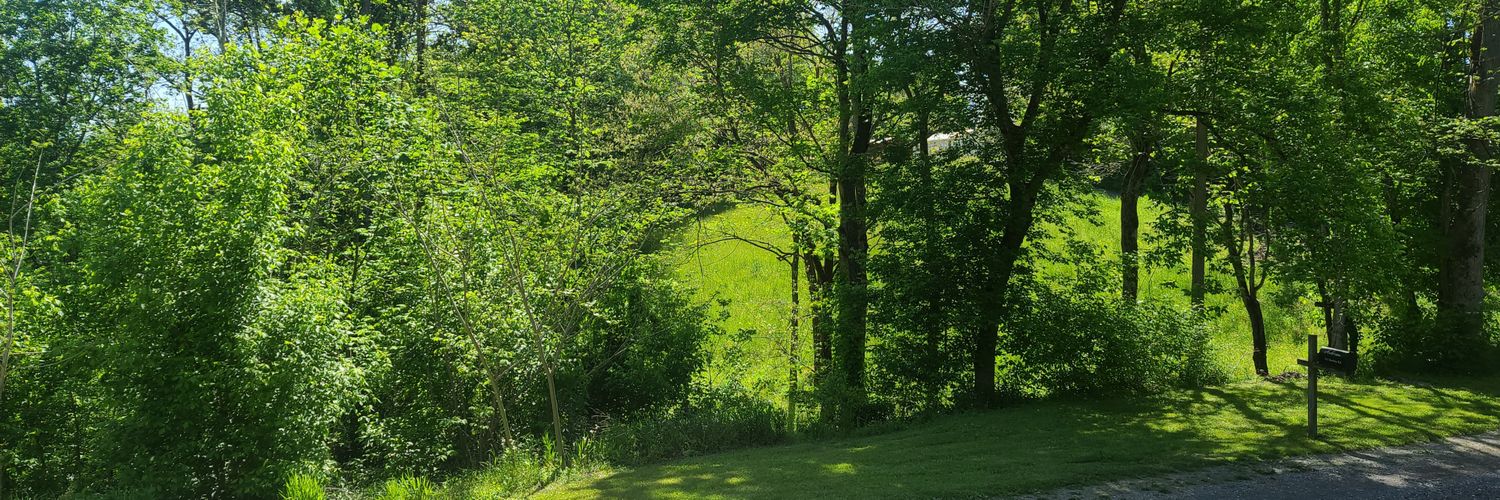 crisanderson27's profile banner image