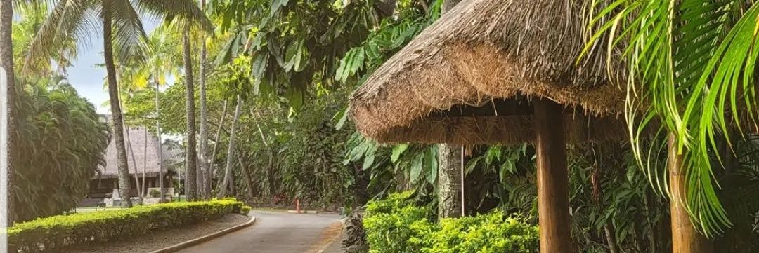 ڈاکٹر کنول banner