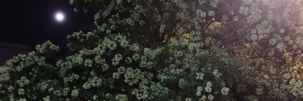 su_myth__ Profile Banner