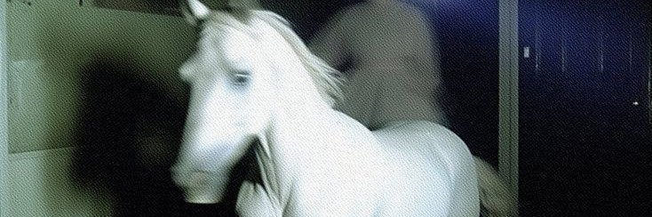 acidrue's profile banner image