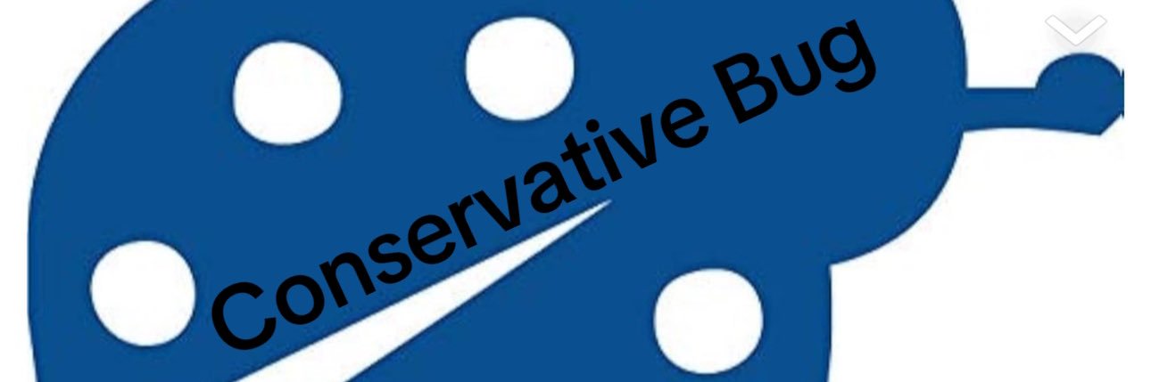Bradshaw's banner