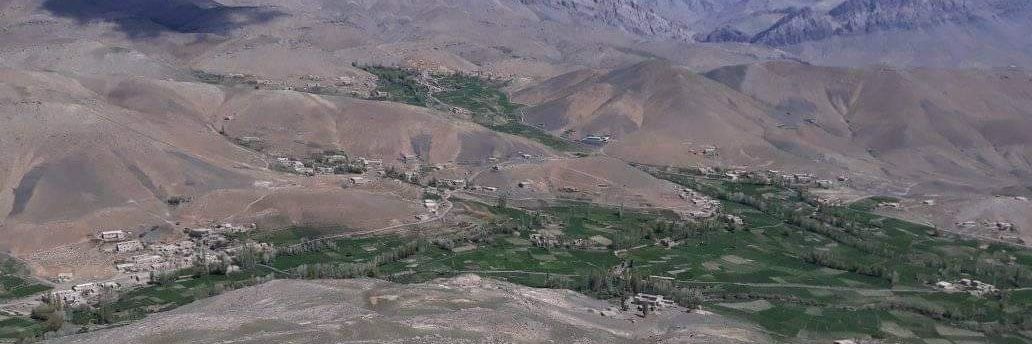 Ali sha banner