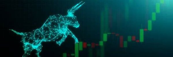 CryptoBULLiever Profile Banner