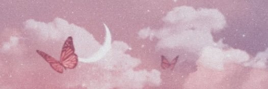 𖤍 ᴀʟɪᴄᴇ 𖤍 banner