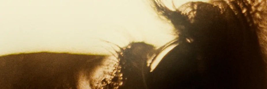 After Hours Til Dawn Tour's banner