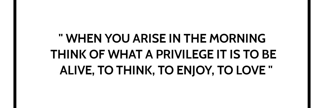 June Cleaver 🌷 banner