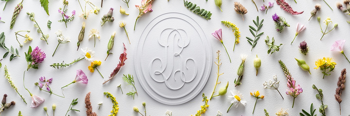 Louis Roederer banner