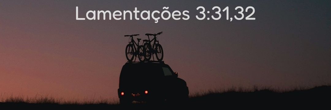 Lipe1991__'s profile banner image