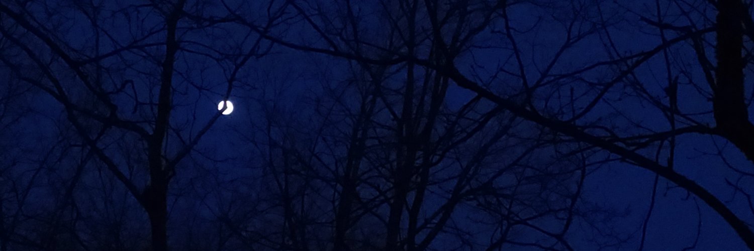 alexander_d3's profile banner image
