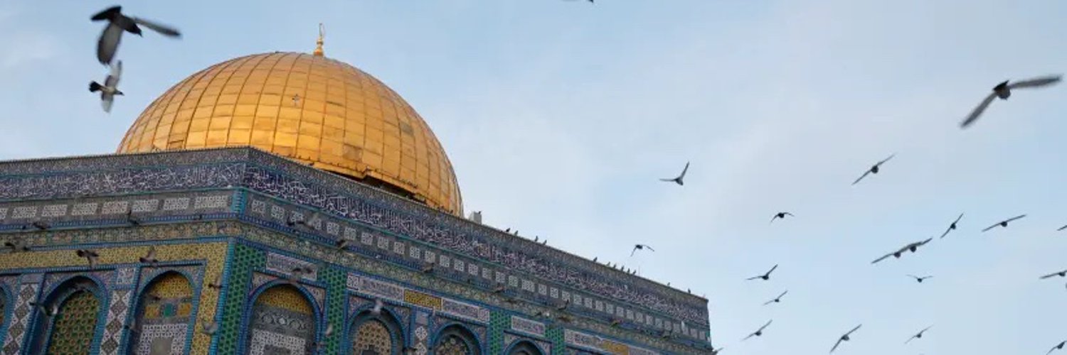 ICJP (🦋: icjpalestine.com)'s banner