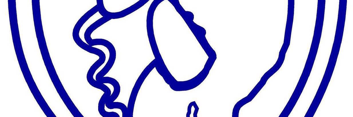sodomep banner
