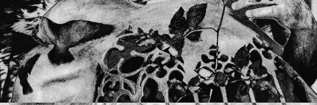 'lo ‍‍ ‍‍‍‍ REAPER, banner