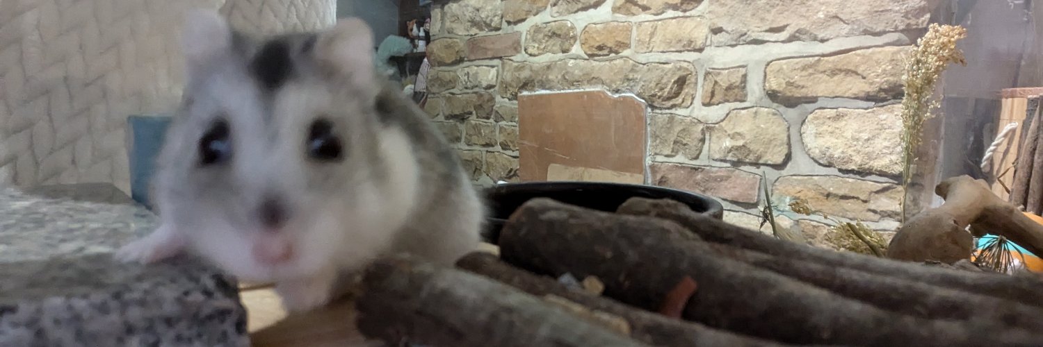 📿 ApolloStories ฅ⁠^⁠•⁠ﻌ⁠•⁠^⁠ฅ banner