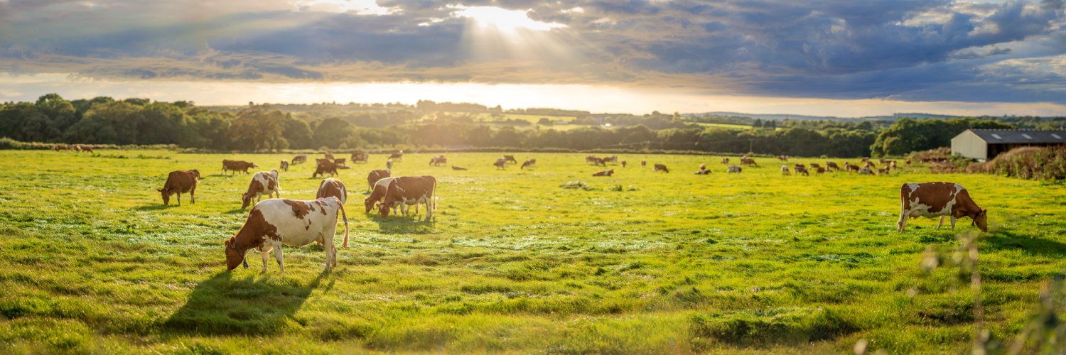 Briddlesford Farm banner