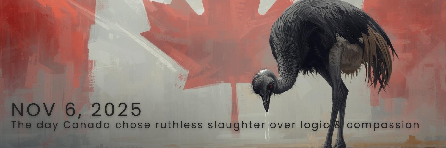 C_Blake_Roberts's profile banner image