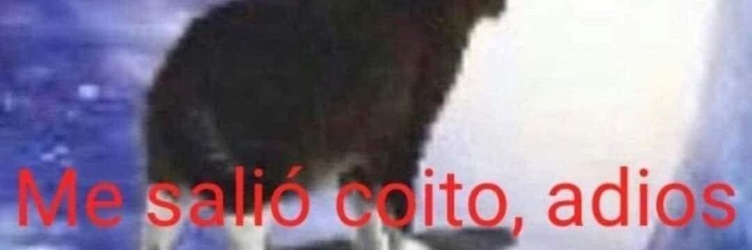 Gon banner