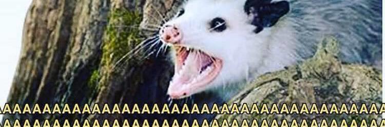 alliebeans_'s profile banner image