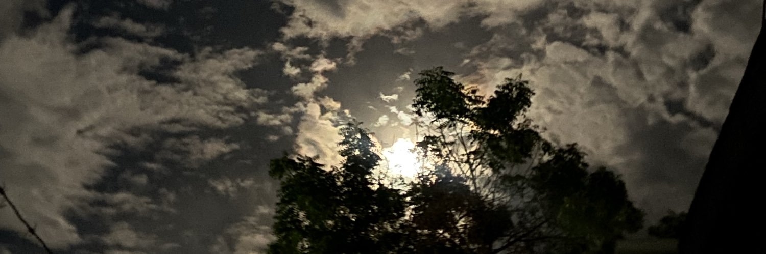 naniidrt's profile banner image