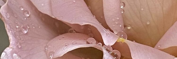 _alchemyofself's profile banner image