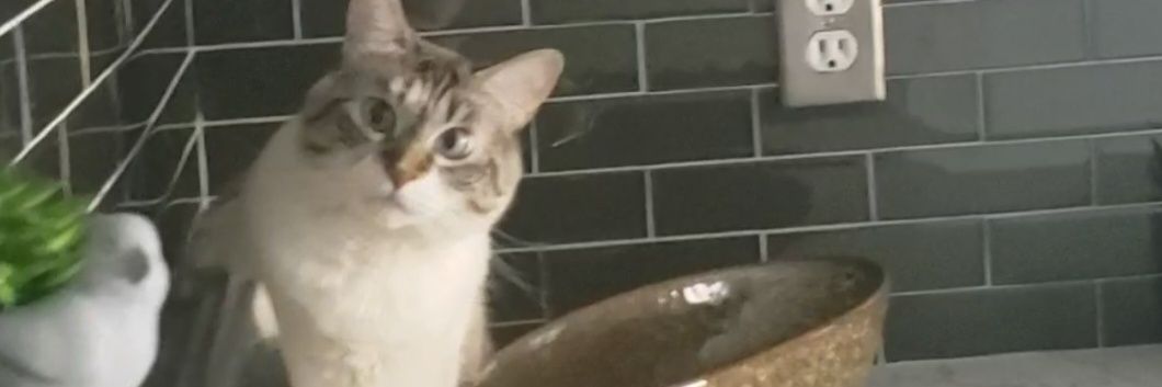grace_14516's profile banner image