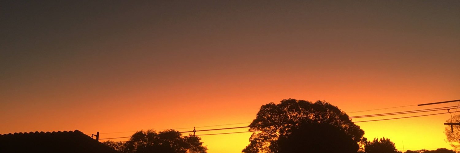 mandy_amarilla's profile banner image