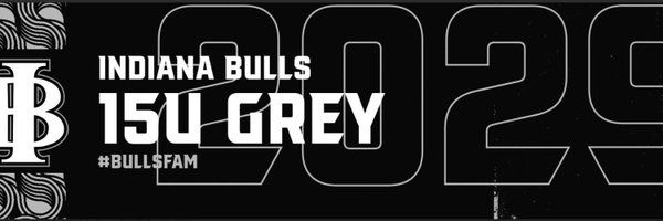 IN_BullsGrey29 Profile Banner