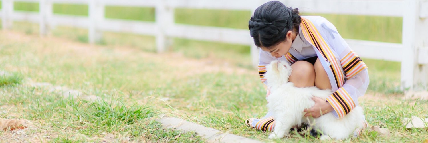 grapefruit_S's profile banner image