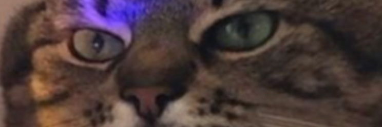 fastlegzeIcecloudfan banner