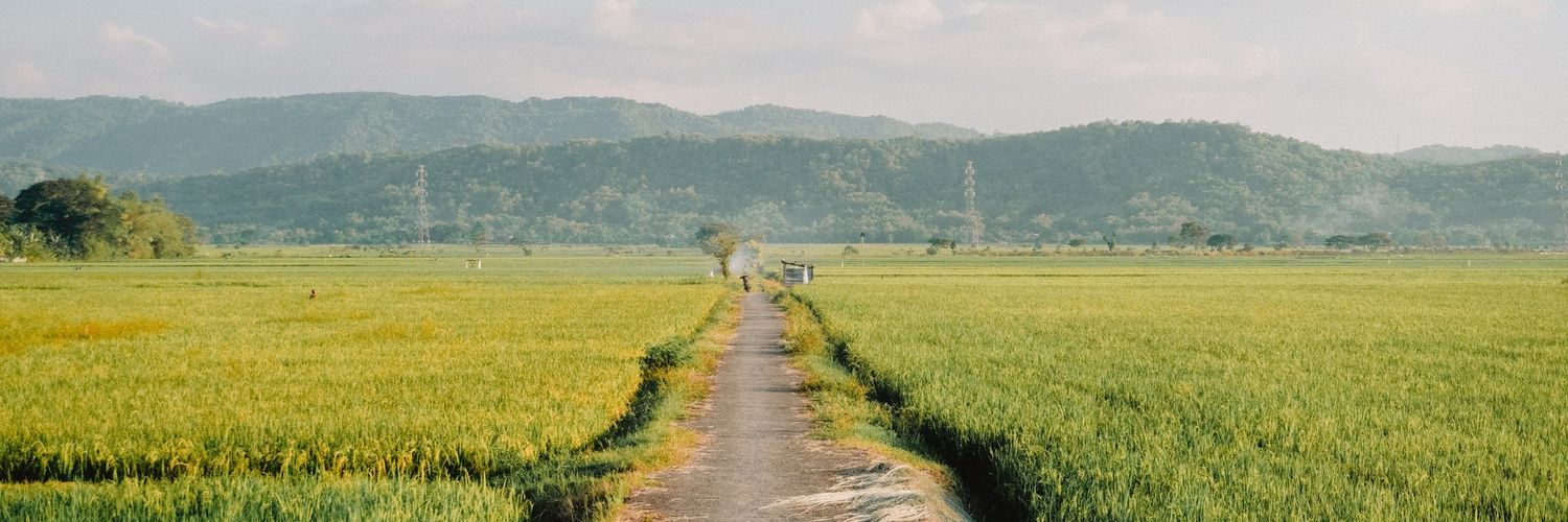 noufff🦉 banner
