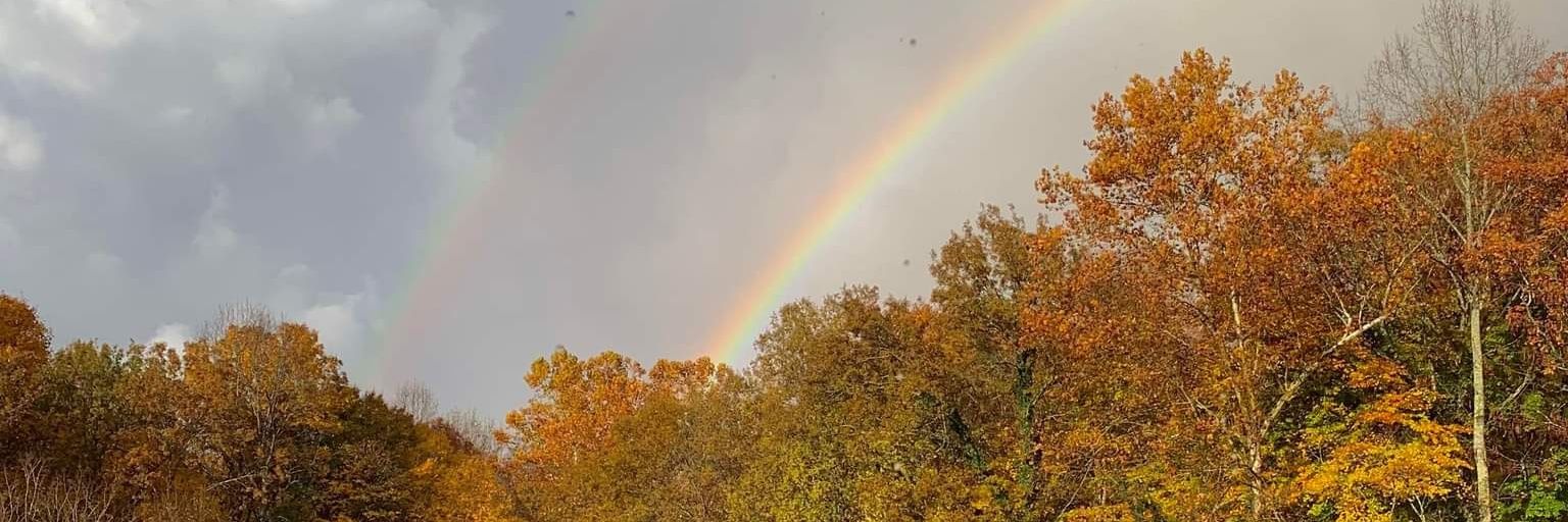 Turkey Commander banner