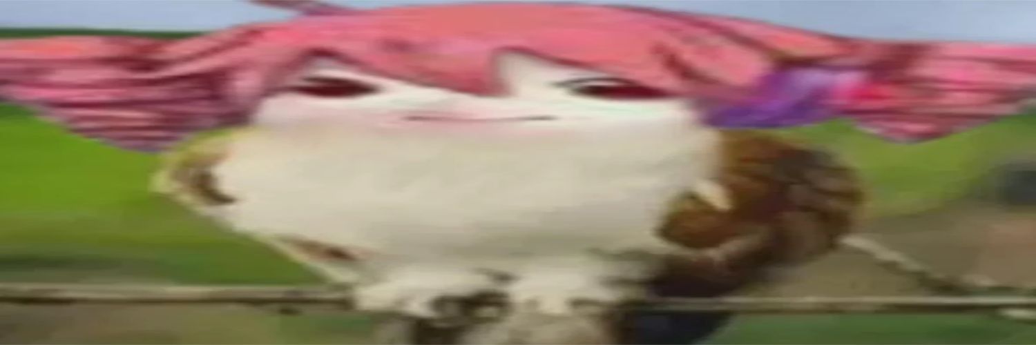 红毛鬼全都给我听好来 banner