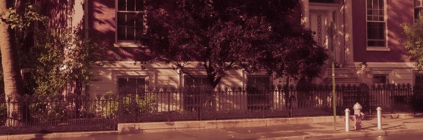 to paradise bot's banner