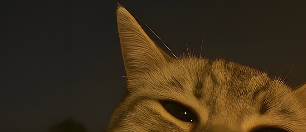 yoshidafpp's profile banner image