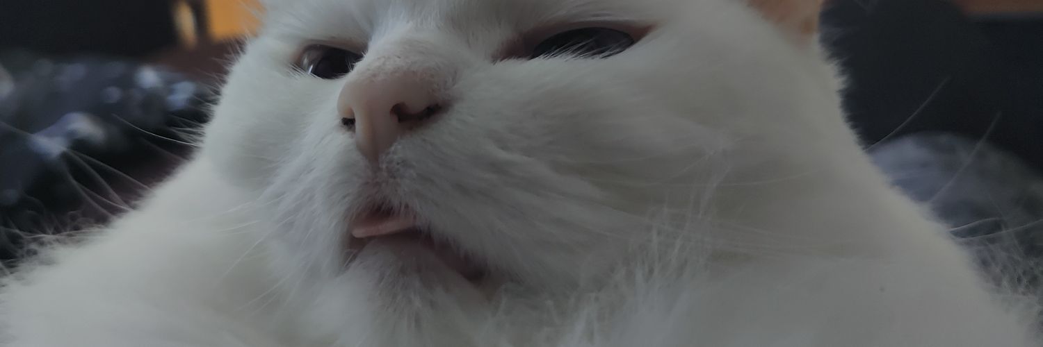 Fernando_Vispo's profile banner image