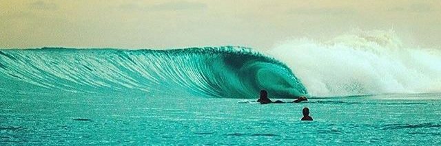 CryptoDot Surfer 🌊🏄🏻‍♂️'s banner