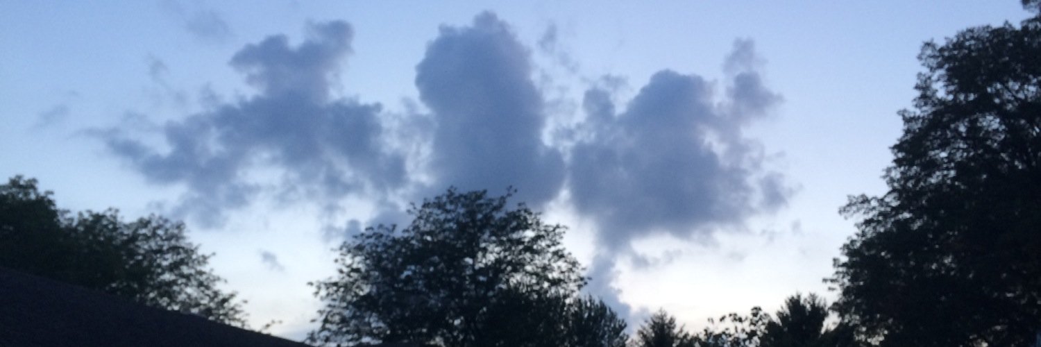 ShonkBob's profile banner image