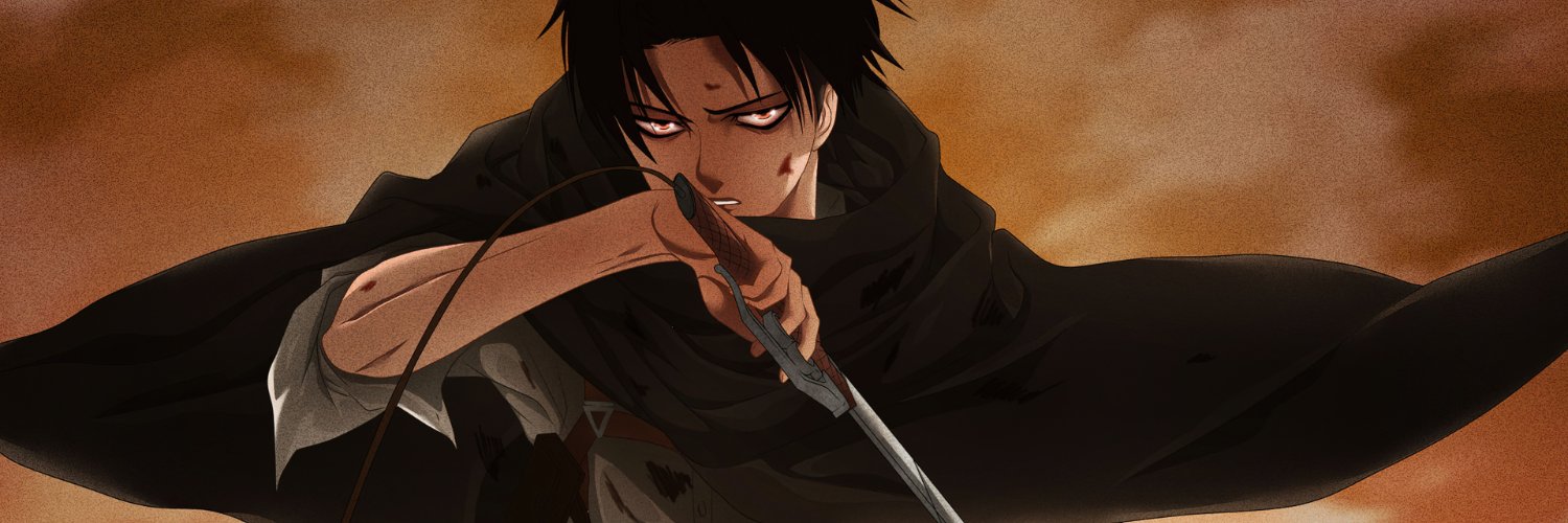 Levi Ackerman banner