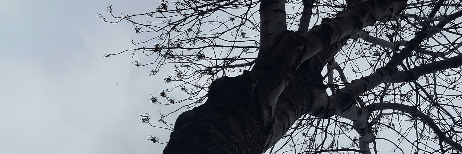 tumsuz's profile banner image