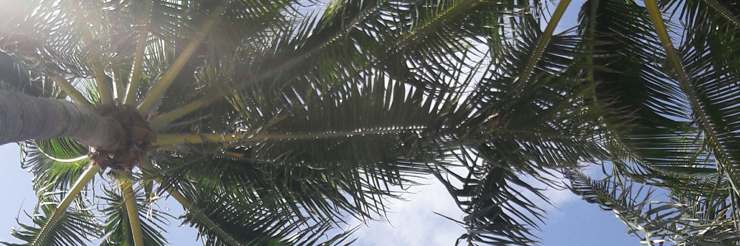 Natalina2017's profile banner image