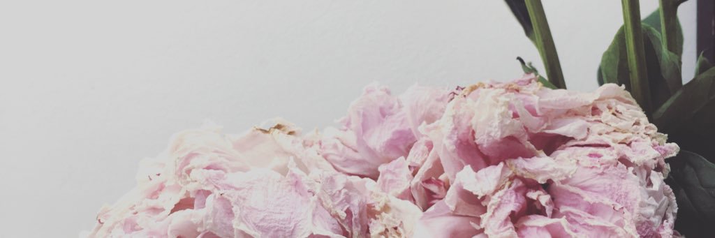 LucyIClarke's profile banner image