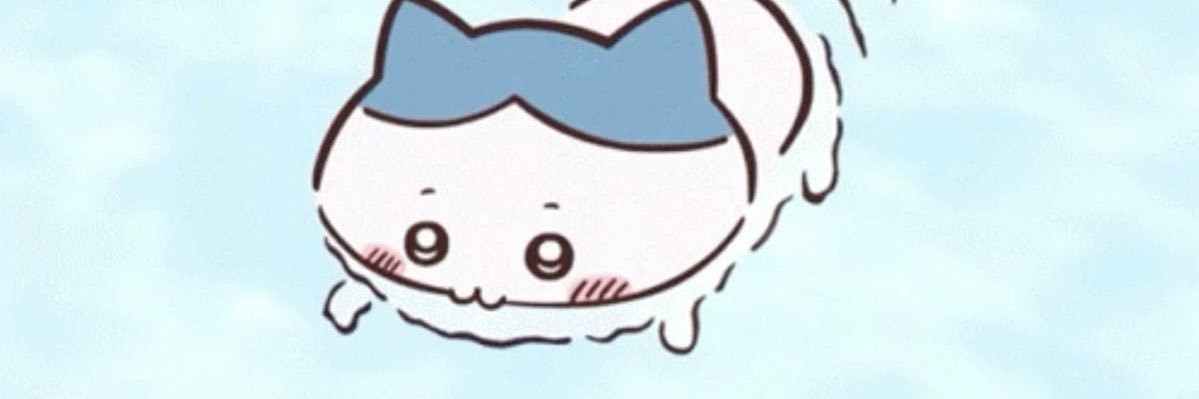 maggie banner