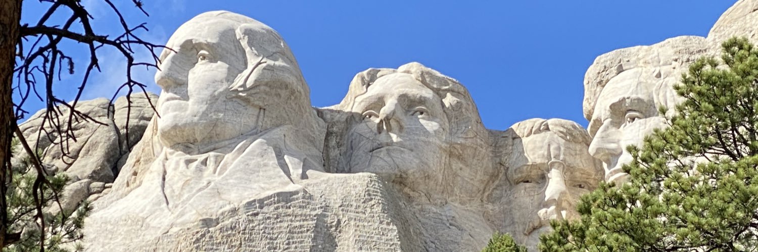 NotTheFakeNicP's profile banner image