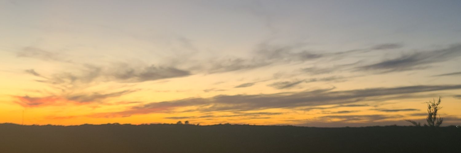 The Alamo's Basement banner
