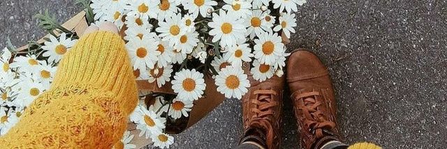 Negar4192's profile banner image