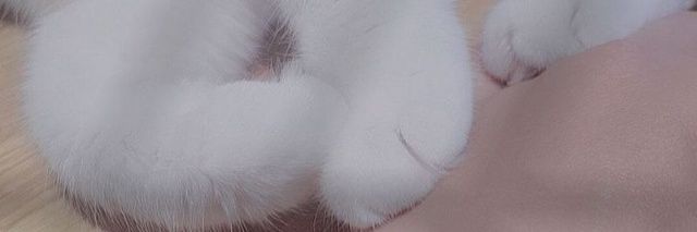 Leely_le's profile banner image