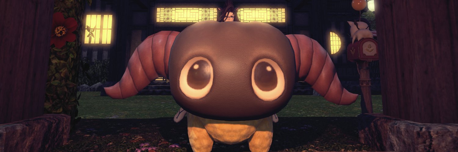 Velvet the cute kitten banner