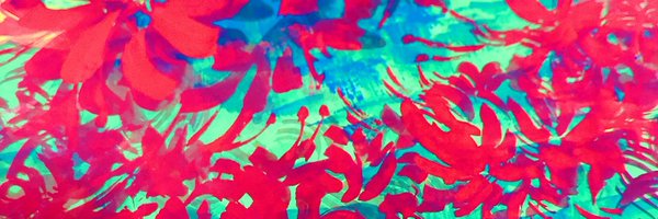 gugsssccc Profile Banner