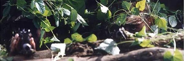 vineethmuthanna Profile Banner